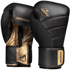 T3 12oz BOXING GLOVES