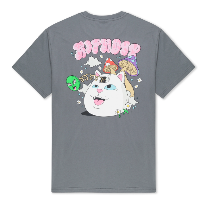 S/S LOST MINDS
