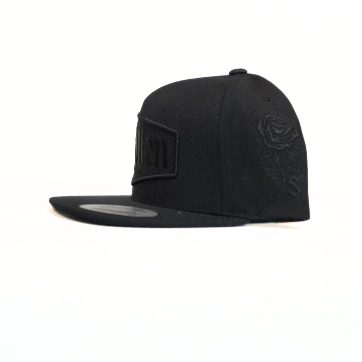 SNAPBACK LAST RITES